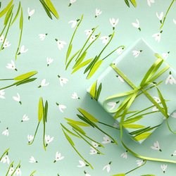 シロツメクサとクローバー デザインペーパー A4 包装紙・ラッピング