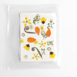 高知の草花　プチ・フルール ⑥   ミニサイズ11×8　押し花　ハンドメイド素材 1枚目の画像