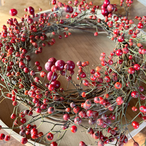 木の実 クリスマス花材 レッド×ナチュラル系 木の実セット クリスマス