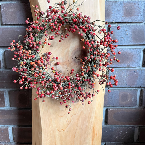 赤い実のナチュラルリース ドライフラワー Olive + 通販