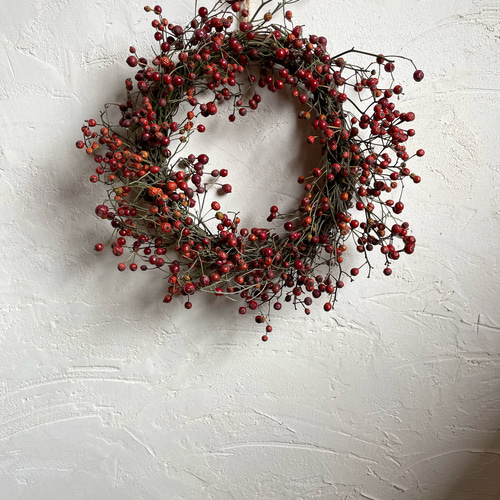 赤い実のナチュラルリース ドライフラワー Olive + 通販 16878240