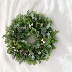 フレッシュグリーン クリスマスリース ナンキンハゼ リース クリスマス