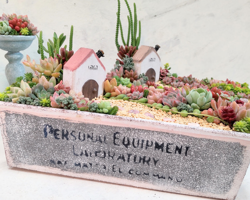 174832efd4111b955fbddbfcc38cbc