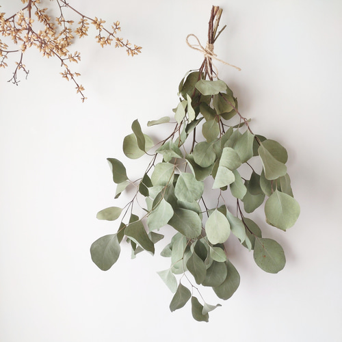 ユーカリポポラス＊スワッグ＊ドライフラワースワッグ❀ブーケ ギフト