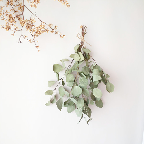 ユーカリポポラス＊スワッグ＊ドライフラワースワッグ❀ブーケ ギフト