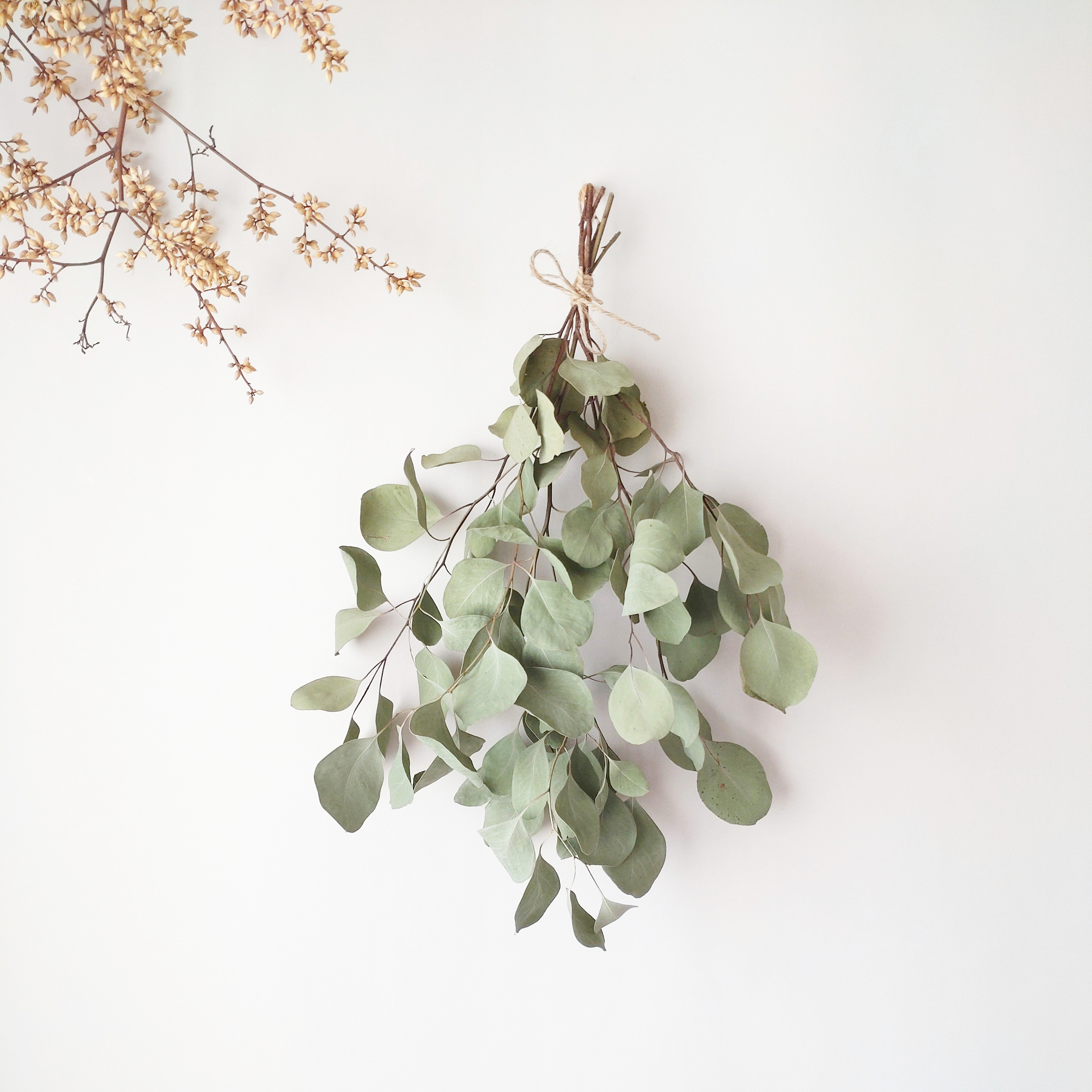 2.ポポラスフェアリースワッグ 2.ポポラスフェアリースワッグ 2.ポポ