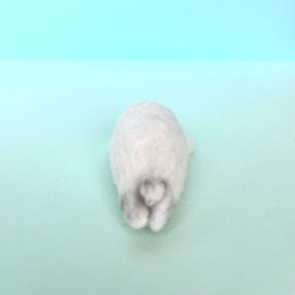 赤ちゃんあざらし Baby Seal(受注生産) 4枚目の画像