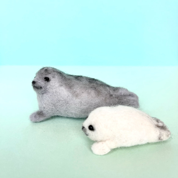 赤ちゃんあざらし Baby Seal(受注生産) 5枚目の画像