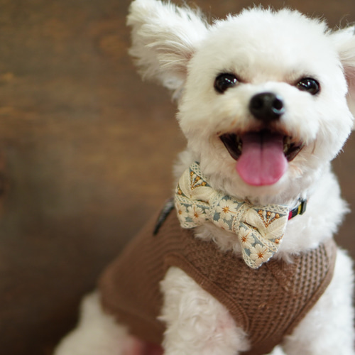 犬ちゃんインド刺繍リボン 犬ちゃんインド刺繍リボン