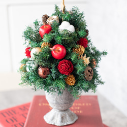 アンティークカップのクリスマスツリー/プリザーブドフラワー・ドライフラワー 4枚目の画像