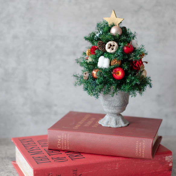 アンティークカップのクリスマスツリー/プリザーブドフラワー・ドライ