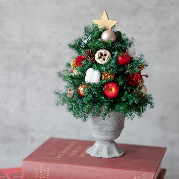 アンティークカップのクリスマスツリー/プリザーブドフラワー・ドライフラワー 3枚目の画像