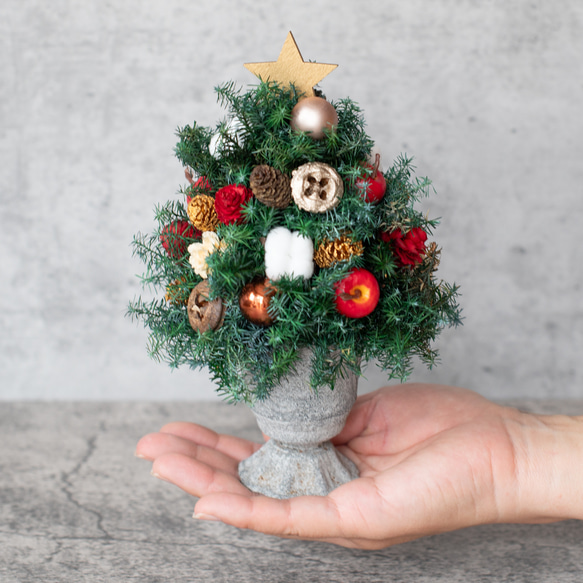 アンティークカップのクリスマスツリー/プリザーブドフラワー・ドライフラワー 6枚目の画像