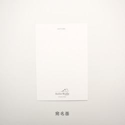 ポストカード シロハラインコ作品 5枚目の画像