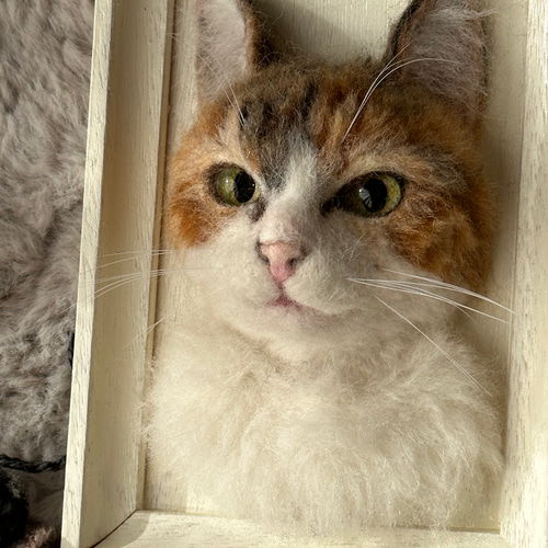 ねこマンモス様　オーダー受付 ねこマンモス様 オーダー受付 ここに座るっ🐾 #雑誌ねこ132号