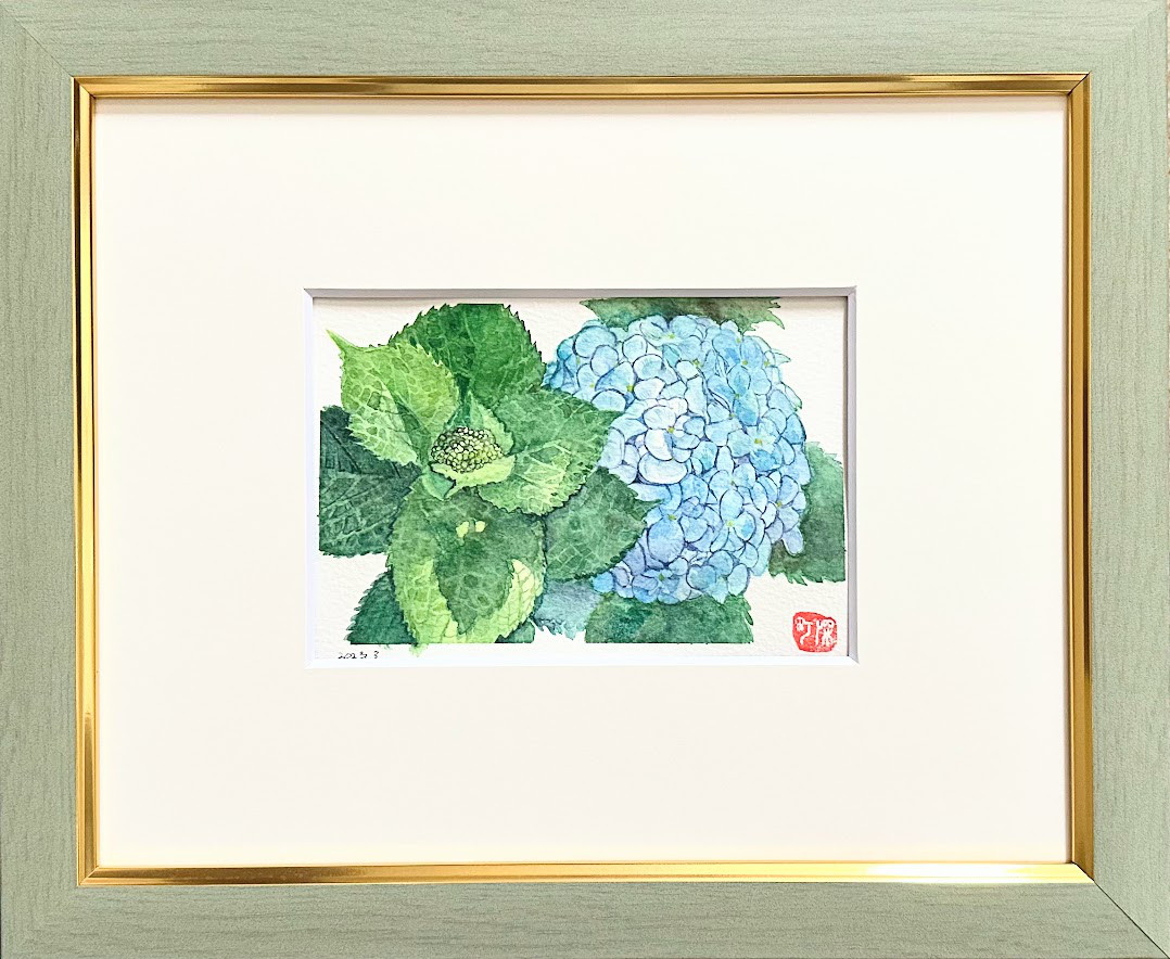 「あじさい」 绘画 「あじさい」 绘画