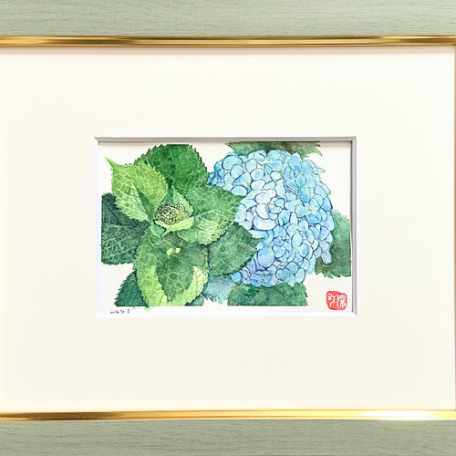 人気カラーの アジサイの水彩画｜梅雨の贈り物 水色あじさいの透明水彩 - 絵画