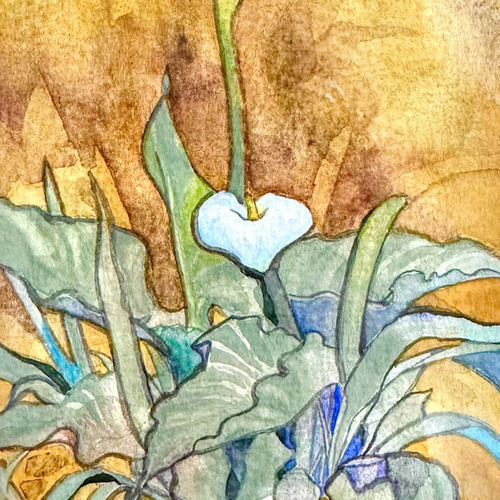 カラーの花の水彩画｜ふんわりとした優しさを添える、小さな窓辺の彩り