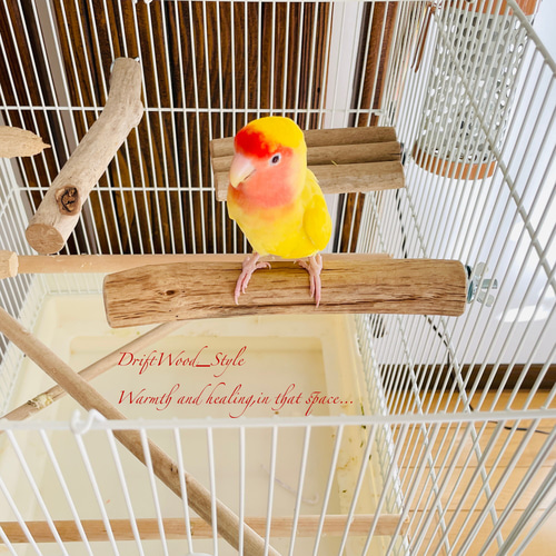 流木インテリア バードケージ用の天然流木の止まり木 鳥かご ケージ