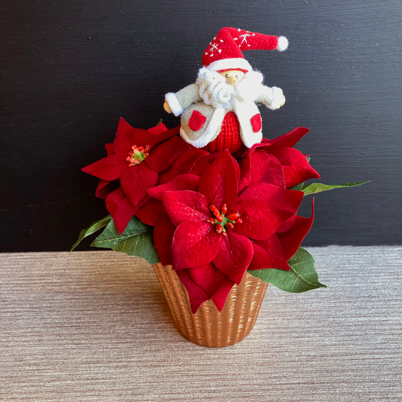 のこりわずか【クリスマス】ポットに入れたようなポインセチア