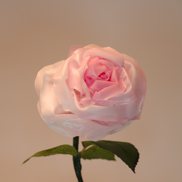 Natural style - Rose Pink 3枚目の画像