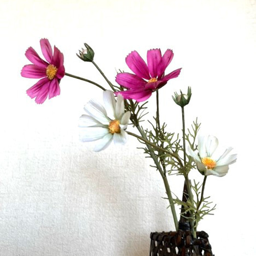 受注制作・再販】手染め布花 コスモス2本 玄関・和洋の空間・お部屋の