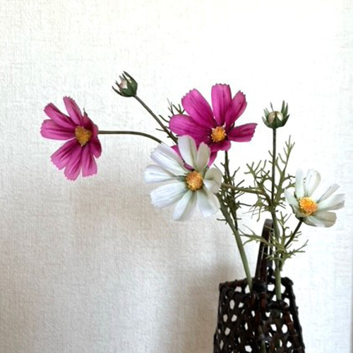 お部屋に癒しの空間を✳秋色コスモスのお花の小物入れ　スクエア型 お部屋に癒しの空間を✳秋色コスモスのお花の小物入れ スクエア型 受注