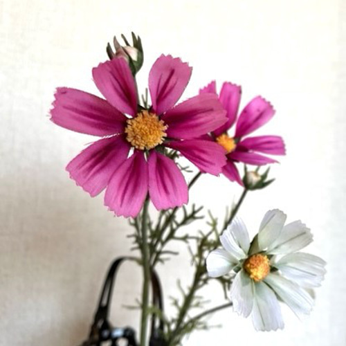 受注制作・再販】手染め布花 コスモス2本 玄関・和洋の空間・お部屋の