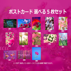 【選べる5枚セット】花や風景のポストカード ハガキサイズ 3枚目の画像