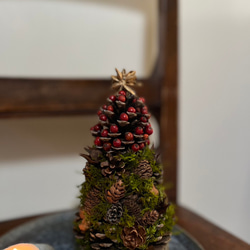 ♦♦受注制作♦♦森のクリスマス  ~松ぼっくりと木の実のクリスマスツリー 6枚目の画像