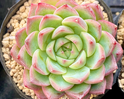 f57a137cf25e0e937a5f439e74eef6