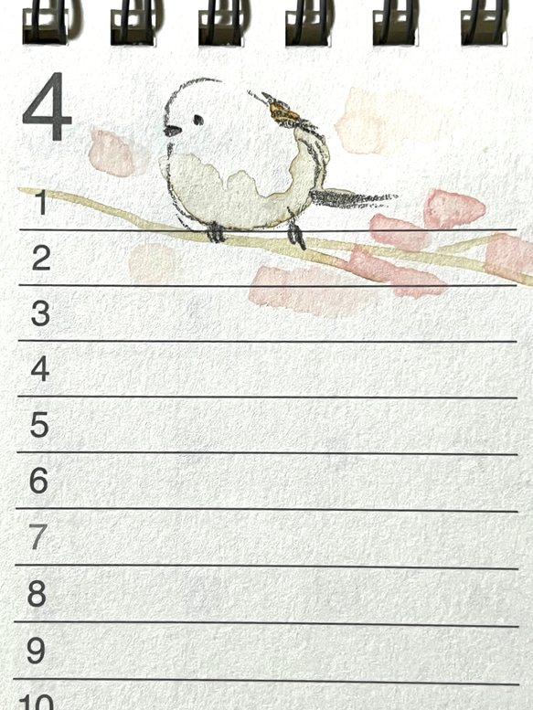 ご予約⭐️2024年　シマエナガの卓上カレンダー（手書き） 10枚目の画像