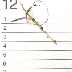 ご予約⭐️2024年　シマエナガの卓上カレンダー（手書き） 3枚目の画像