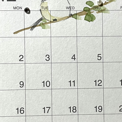 ご予約⭐️2024年　シマエナガの卓上カレンダー（手書き） 20枚目の画像