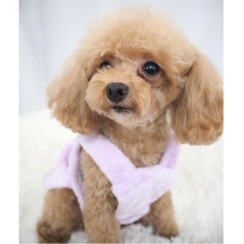 オーダーメイド犬服、冬用。オーダー受付中!! （犬服の通販なら 