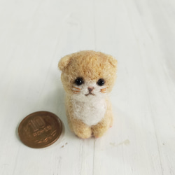 羊毛フェルトの小さな子猫(折れ耳猫ベージュ)　スコティッシュフォールド　猫グッズ　猫雑貨 2枚目の画像