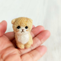羊毛フェルトの小さな子猫(折れ耳猫ベージュ)　スコティッシュフォールド　猫グッズ　猫雑貨 1枚目の画像