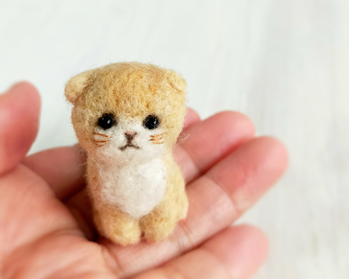受注制作 羊毛フェルトの小さな子猫(折れ耳猫ベージュ) スコティッシュ
