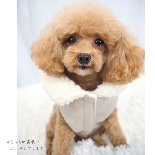 ハンドメイド ダッフルコート オーダー小型犬 （ダッフルコート コート 