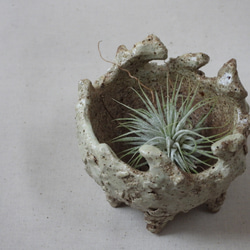 岩肌陶製植木鉢 9枚目の画像