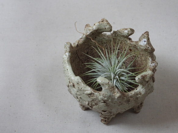 岩肌陶製植木鉢 9枚目の画像