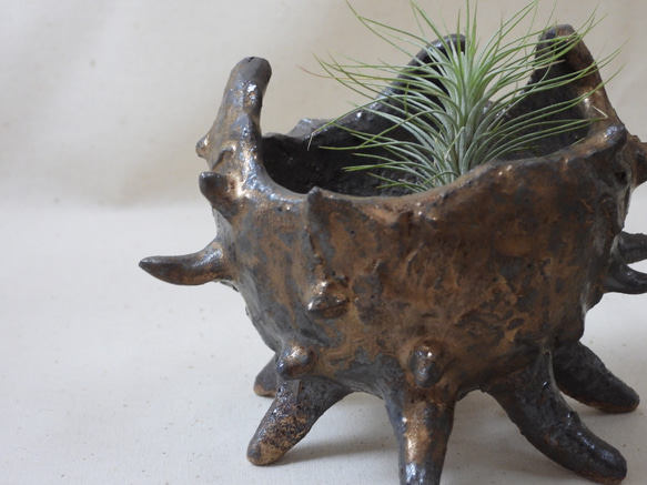 棘棘ツートン陶製植木鉢 12枚目の画像
