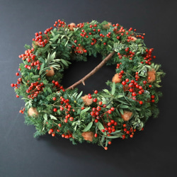 クリスマスリース】 ローズヒップとコットンのリース リース Hana to
