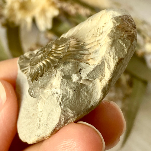 大量☆まとめて 鉱石、原石、化石等