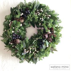 フレッシュユーカリと野ばらのガーランド /S45・M60 リース watano