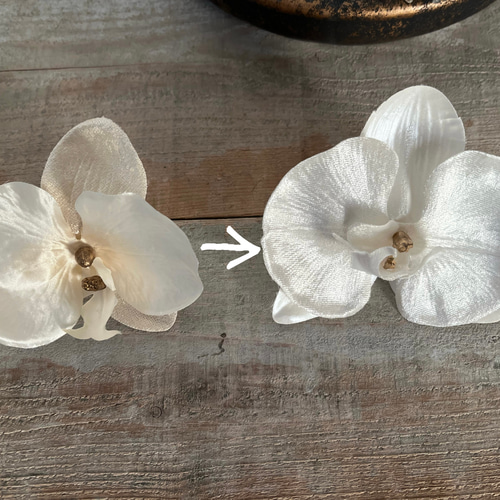 胡蝶蘭水引アレンジ髪飾り 胡蝶蘭ホワイト 振袖 成人式 袴 白無垢 色打