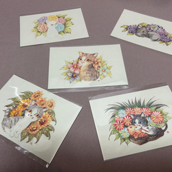 猫とお花のポストカード・フレークシール　セット 3枚目の画像