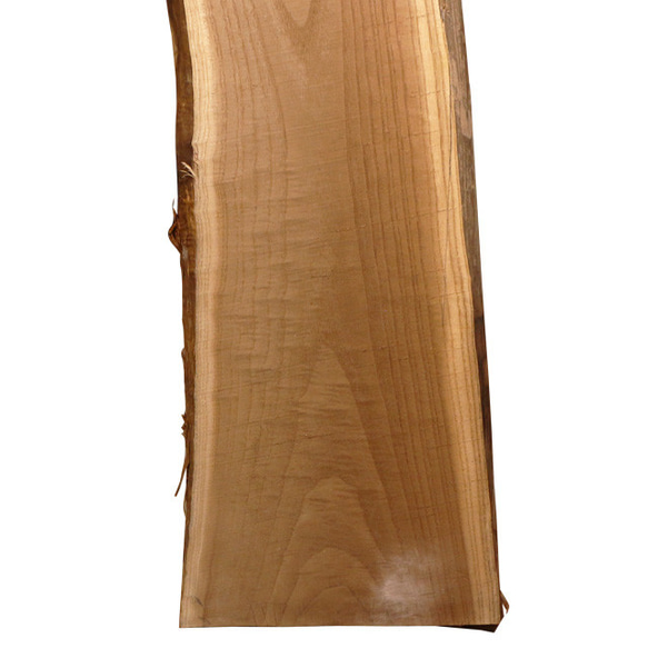 流木インテリア DIY木材 キハダ材 1430 黄肌 無垢材 一枚板 5枚目の画像