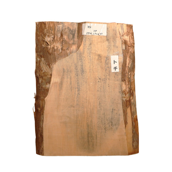 流木インテリア DIY木材 トチ材 570トチノキ 栃 無垢材 一枚板 1枚目の画像