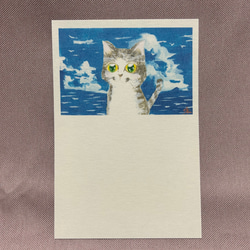 猫のポストカード・切手セット「青空」 4枚目の画像